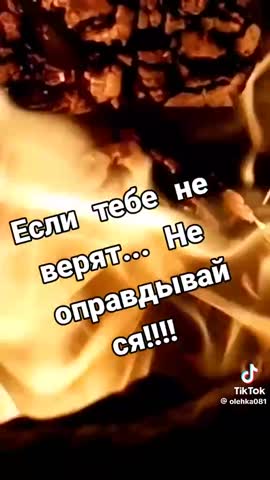 154eaa27854be569c1800a5b53a8f45d