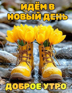 IMG_20260309_061233_676