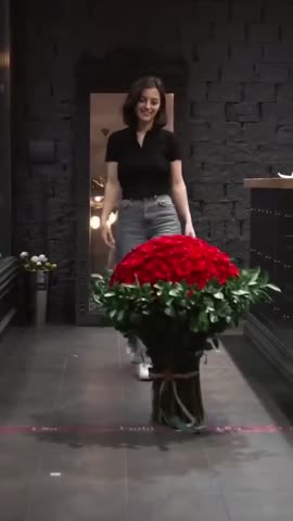 video_12263959890527