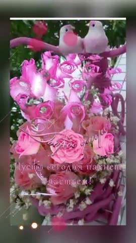 video_12182144485892_1