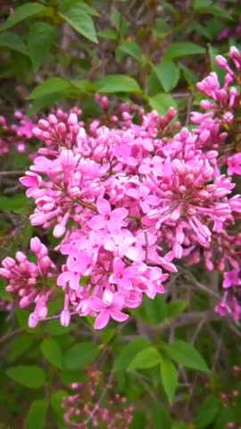MOV_20260311_081641_334