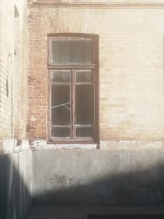 IMG_20260310_081902_1