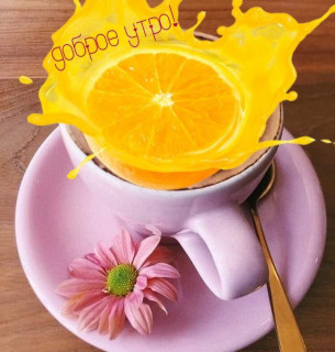 IMG_20260312_044750_203