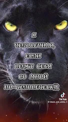 5a11c1e64a8e0a8e2563c819e31799f2