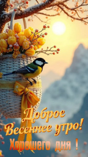 IMG_20260313_051204_256