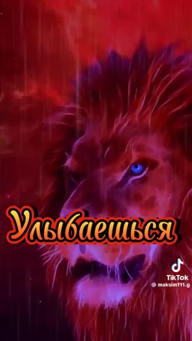 e5ea5c796a8a79906b3fc64212239990