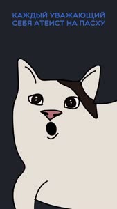 VID_20260316_094407_502