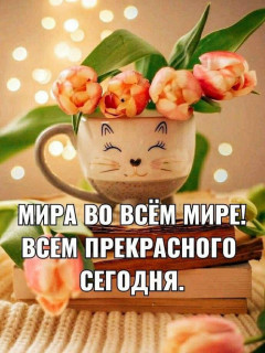 IMG_20260317_054841_375