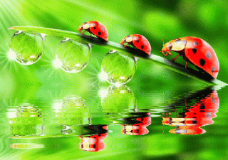 image_860103151226436677995