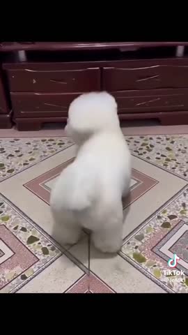 Крошка потанцуй со мной