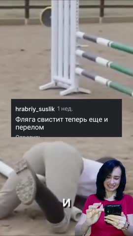 Спасите лошадь