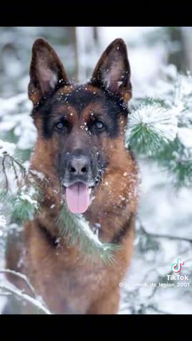 4c58e05d8d5e02c55b5f000eb9bc603c