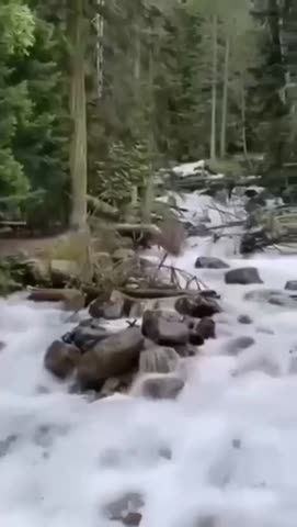 video_13454061409573