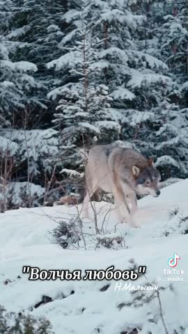 c5dd79e30e3b4e5100ba717799769bf5