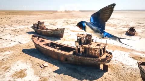 _Ласточка_моя___New_Italo_Disco_Style___Поют-_Dasha_Grigorieva___Klava_Zimi_HD