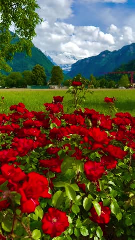 BEAUTIFUL_SWITZERLAND??