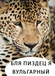 IMG_20260216_002724_041