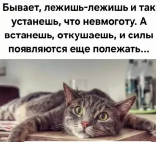 Screenshot_20260323_112148