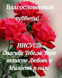 IMG-3ea6c1f56d097656a31d519737149d30-V