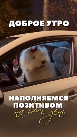 Бодрое утро