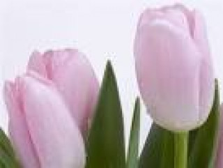 images-14