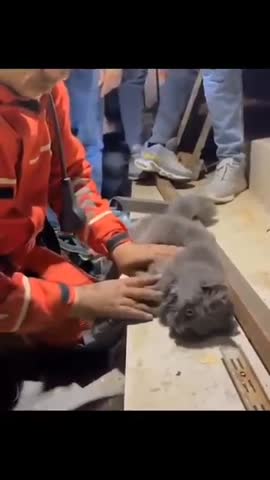 Спасатель_от_бога