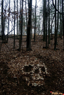 Foiz_PRO_Ужасно_красиво_v9