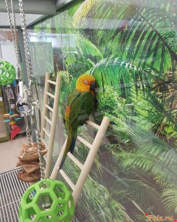 Foiz_PRO_Ужасно_красиво_v12