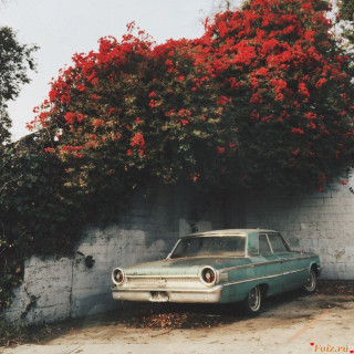 Foiz_PRO_Ужасно_красиво_v13