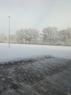 Минск_сегодня_10_12_17г_