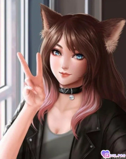 Foiz_PRO_девушка_кошка