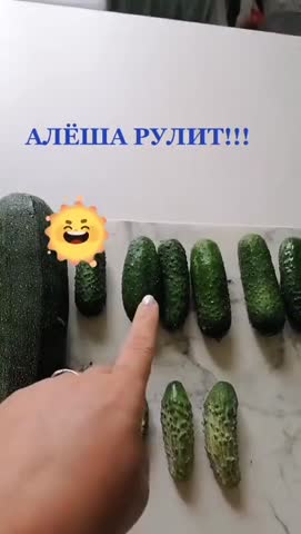 Алёша_рулит