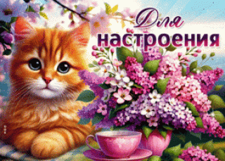 cenneisaya-gif-otkrytka-dlya-nastroeniya-40877