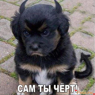 Foiz_PRO_M7yin0WE_QI