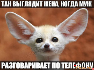 Foiz_PRO_rGIGpNzLAT0