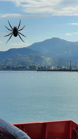 2026-03-31-104602900