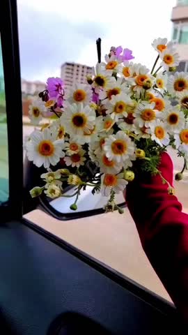 Мамі треба спокій