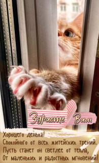 Foiz_PRO_IMG_20260328_052445_198