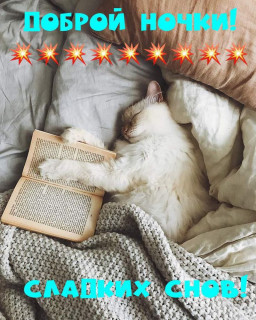 -Доброй-Ночки-