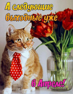 -4-и-5-Апреля-