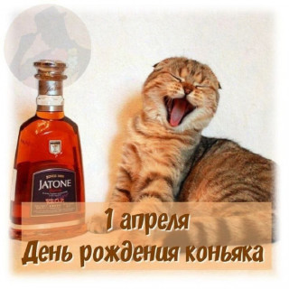 -День-Коньяка-