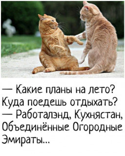 84915fe020a70e264237aecfa1810076_1774860787