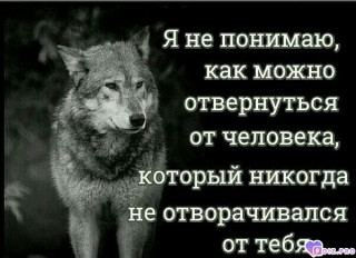 Foiz_PRO_Я_не_понимаю___
