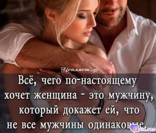 Foiz_PRO_Всё___