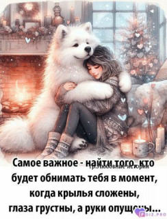 Foiz_PRO_Самое_важное