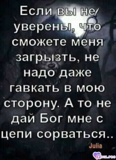 Foiz_PRO_Если_Вы