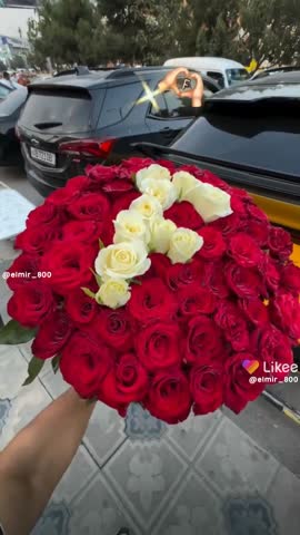 Like_7623507147719083278