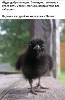 FB_IMG_1775070334314