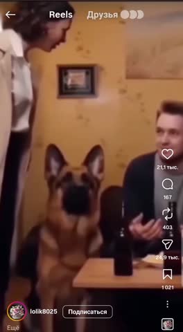 Screen_Recording_20260402_182953_Instagram