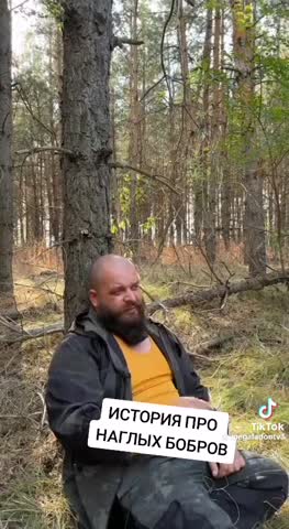 бобри и плотина гг